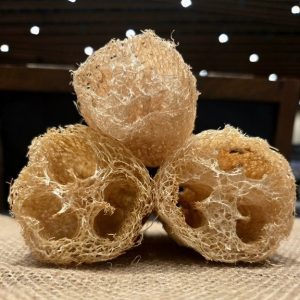 Luffa/Loofah